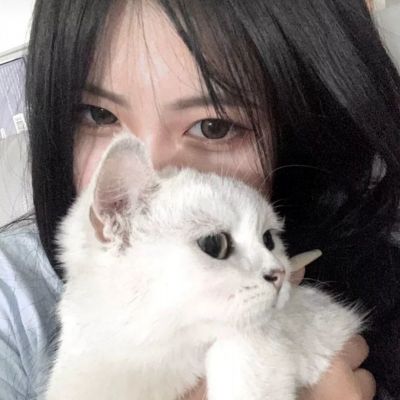 超能战鸡破解版下载